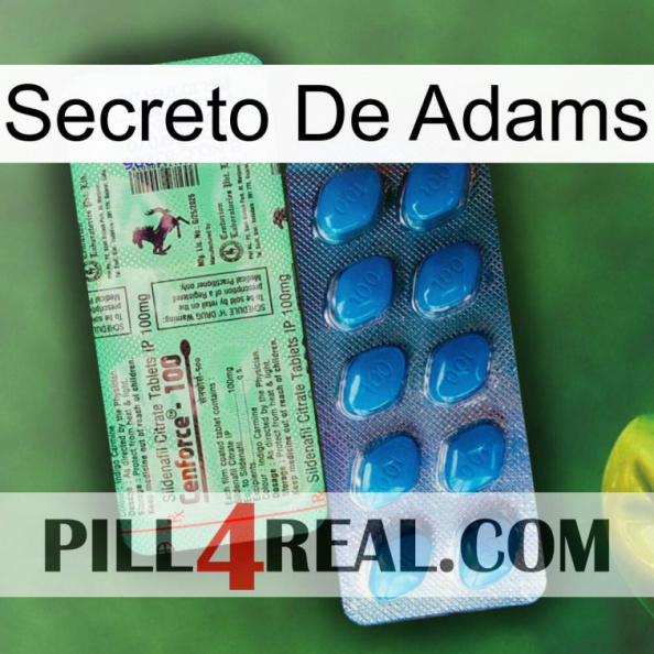 Adams Secret new02.jpg